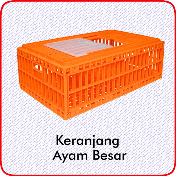 Chicken Basket Orange - Chicken Cages