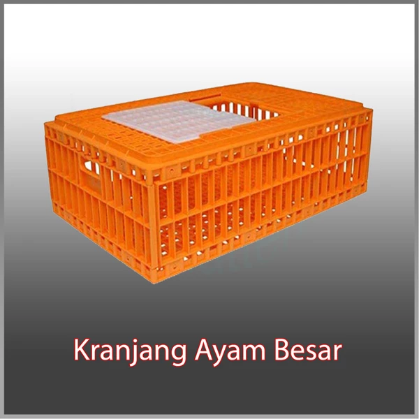 Chicken Basket Orange - Chicken Cages