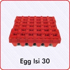 Tempat Telur Plastik Isi 30 1