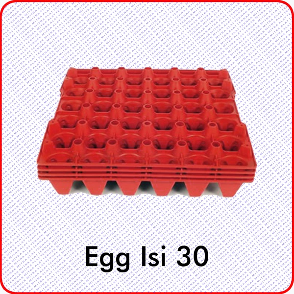 Eggtray Isi 30 Tempat Telur