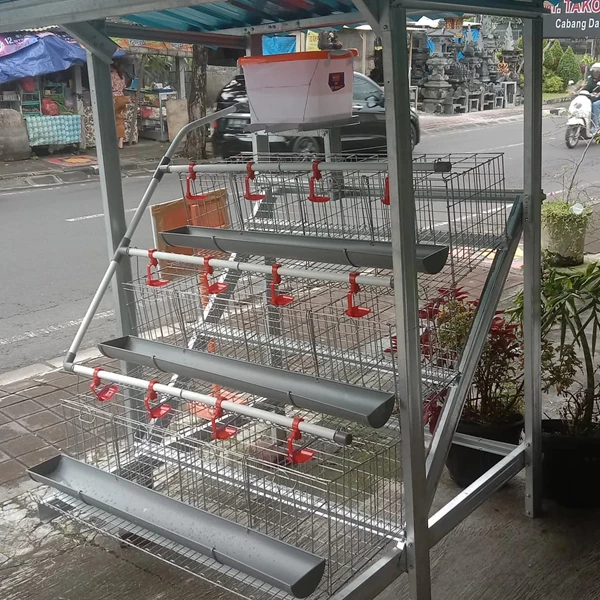 Laying Chicken Cage - 6 Door Battery Cage Contents 6